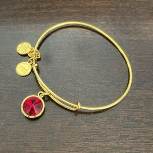 Alex and ani red charm bracelet